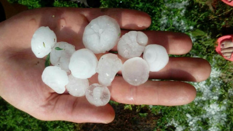 Синоптики спрогнозировали град в Воронежской области