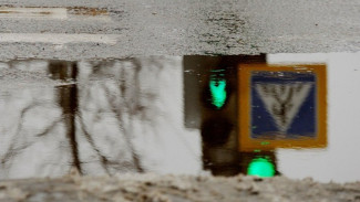 Пешеход насмерть поскользнулся в Воронежской области