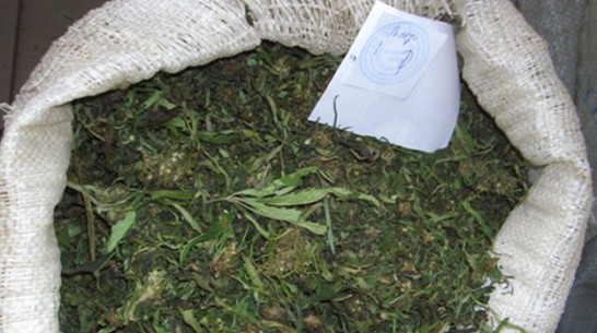 В машине жителя Панинского района нашли 600 грамм марихуаны
