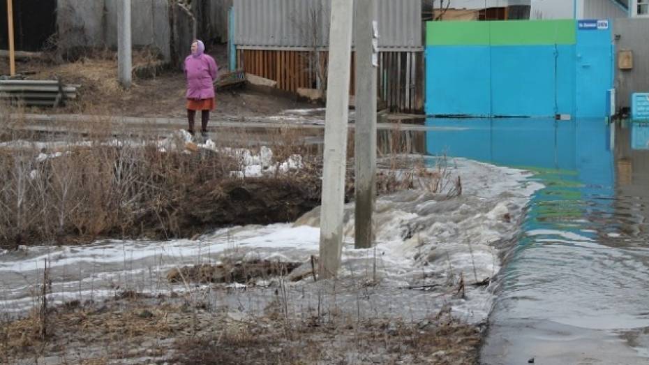 40 семей Воронежской области получат компенсацию за пострадавшее во время паводка имущество из регионального бюджета