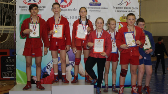 Таловские самбисты выиграли 6 золотых медалей на Рождественском турнире