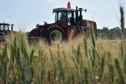 Правительство РФ поддержит воронежских производителей зерна на 441 млн рублей