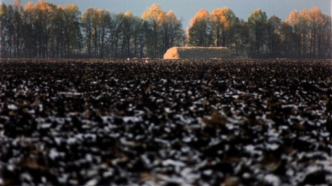 Острогожский фермер выбросил плодородную почву