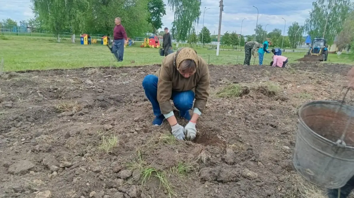 В грибановском селе Нижний Карачан посадили хвойный сквер на месте пустыря