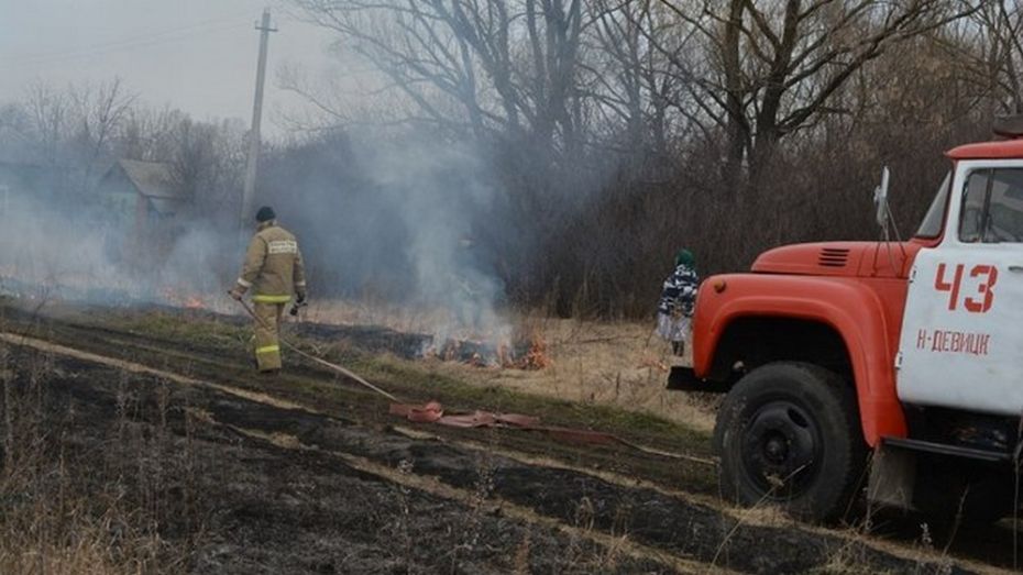 В Грибановском районе выгорело 500 квадратных метров сухой травы и камыша