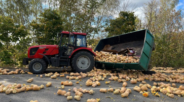 Полиция озвучила подробности «тыквенного» ДТП в Каменском районе Воронежской области