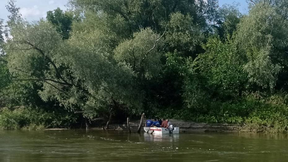 Воронежцы сообщили, что в реке Хопер утонул 14-летний мальчик