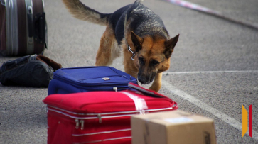 Воронежцам напомнили, что делать при обнаружении подозрительных предметов на улице