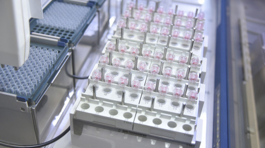 Впервые за 2,5 месяца в Воронежской области выявили менее 600 заболевших ковидом за сутки