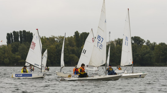 Воронежцы завоевали семь золотых медалей регаты «Кубок Черноземья»
