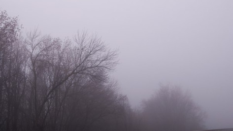Туман провисит над Воронежем минимум до вторника
