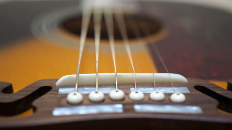 Воронежских любителей гитарной музыки пригласили на творческий вечер