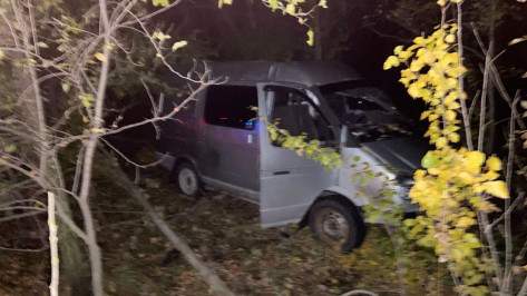 В Воронежской области «Газель» врезалась в дерево: водитель погиб