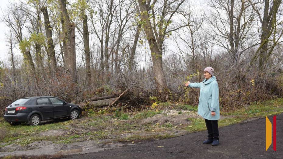 В подгоренском поселке Опыт матери ветерана СВО помогли благоустроить территорию у дома
