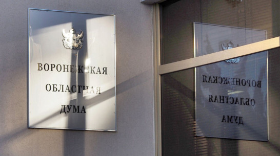 В Воронежской облдуме создадут Совет по развитию региона 