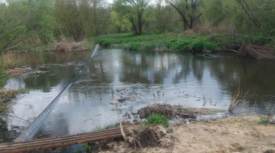 «РВК-Воронеж» уличили в причинении вреда реке Голубой Дунай