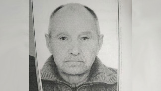 Родственники попросили помощи в поисках пропавшего в Верхнем Мамоне 76-летнего мужчины