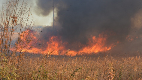 В Рамонском районе за день ликвидировали 2 крупных возгорания сухой травы