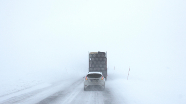 Воронежцам объяснили, что нужно делать при попадании машины в снежную бурю