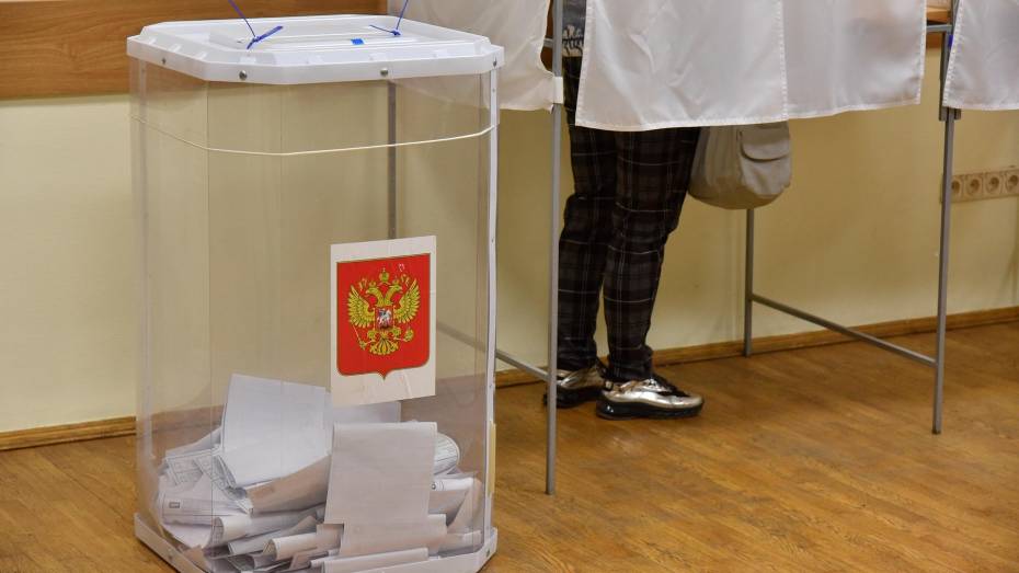 В Воронеже начался прием заявлений на ДЭГ и голосование по месту нахождения на выборах Президента РФ