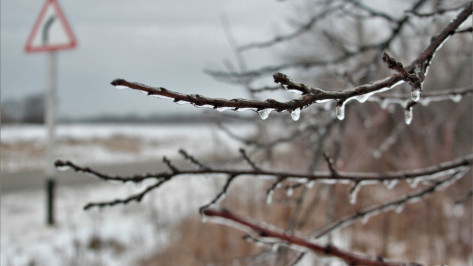 В Воронежскую область придет ледяной дождь