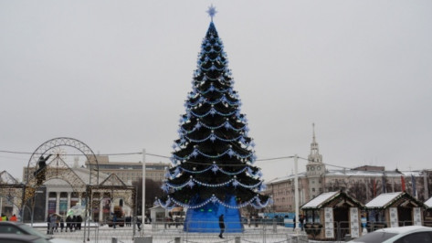 Караоке-попурри и танцевальное шоу ожидают воронежцев на открытии главной городской елки 