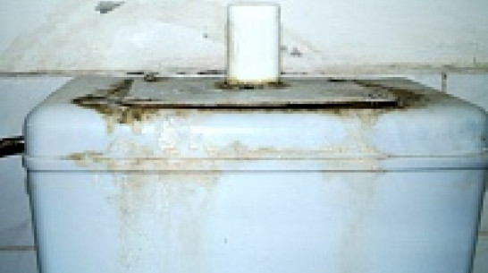 «Росводоканал-Воронеж» пригрозил оставить без воды 643 предприятия до конца сентября