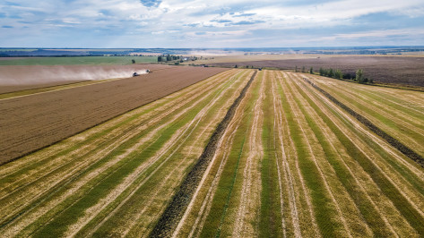 Аграрии ГК «Продимекс» подвели итоги работы в 2025 году в Воронежской области