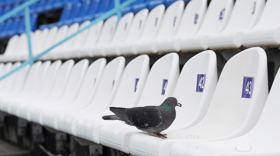 В Воронежской области запретили посещать спортивные матчи