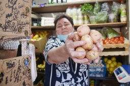 На воронежских рынках проверили цены на овощи