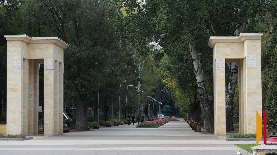 Прокуратура проверит качество ремонта лестницы в Центральном парке Воронежа