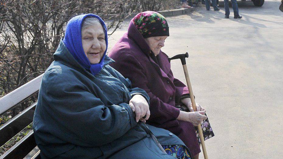 Частная компания предложила Воронежской области проект интерната для пожилых