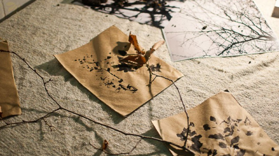 Воронежские художники расскажут в Петербурге сказки про забытые места 