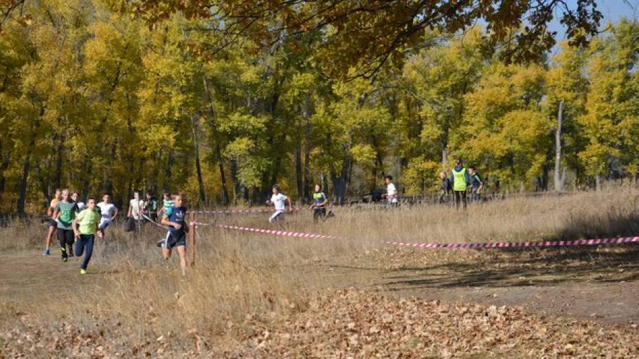 В осеннем легкоатлетическом кроссе в Поворинском районе приняли участие 178 бегунов