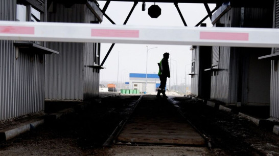 В Кантемировке иностранца осудили на 1 год колонии за незаконное пересечение границы России