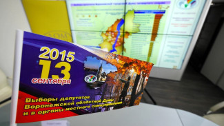 Воронежский облизбирком обработал 12% бюллетеней: «Единая Россия» – 77,8%