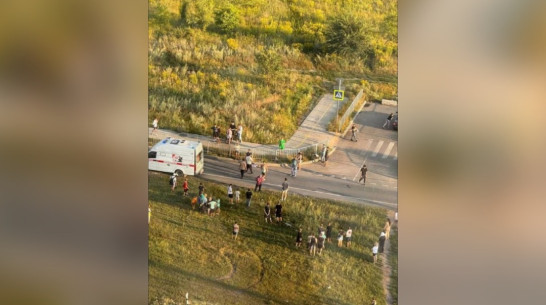 В Воронежской области автомобилист сбил 8-летнюю девочку: ребенок погиб