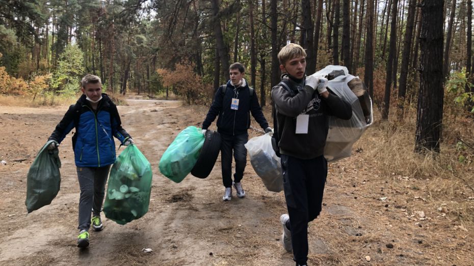 Участники «Чистых игр» в Воронеже рассказали о самых необычных находках при сборе мусора