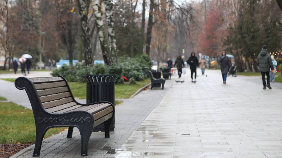 Воронежцам рассказали о ходе благоустройства улицы Карла Маркса