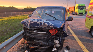 Пятеро детей пострадали в столкновении микроавтобуса и фуры в Воронежской области