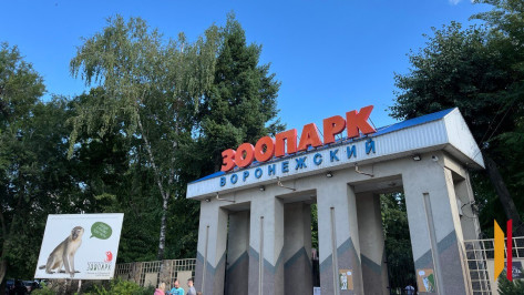 Воронежский зоопарк станет бесплатным для пенсионеров на один день