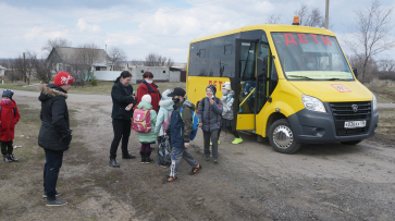 В Воронежской области автобусы будут развозить детей в 371 школу