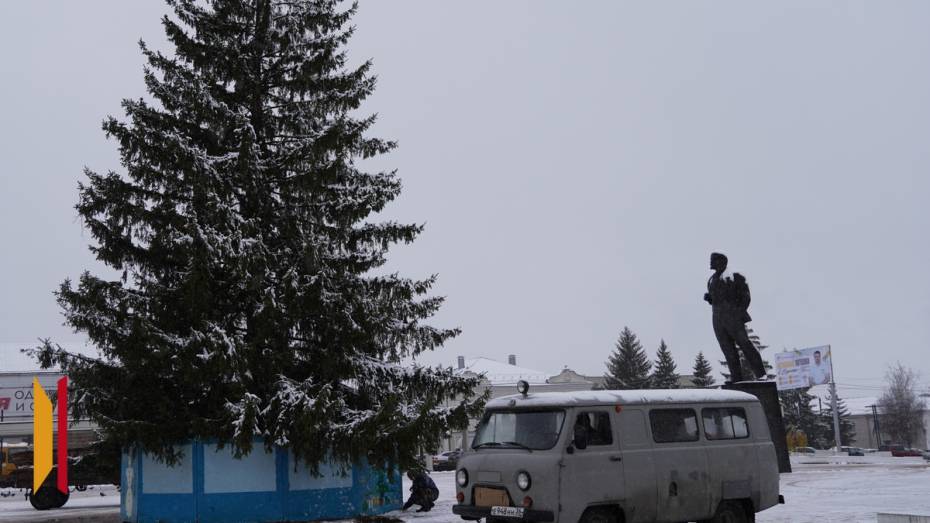 В Острогожске супруги Котовы подарили городу 17-метровую ель