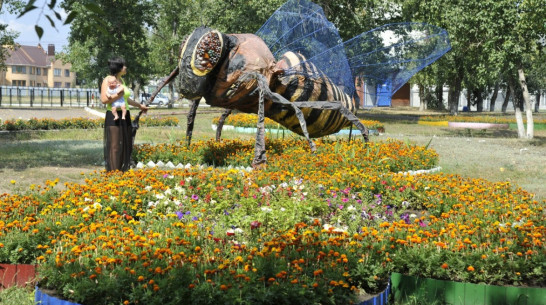 Тест РИА «Воронеж». Где отдохнуть на майские поближе к Воронежу?