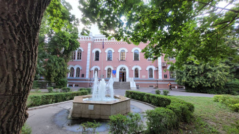 Стало известно, какие специальности чаще всего выбирали воронежские абитуриенты