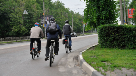 Жителям Воронежской области предложили доехать до работы на велосипеде