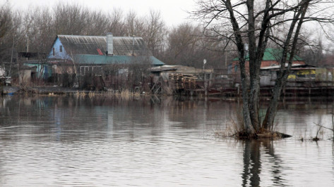 Под Воронежем местным жителям рекомендовали застраховать имущество на случай паводка