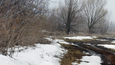 Останки пропавшего без вести мужчины нашли на хуторе в Воронежской области