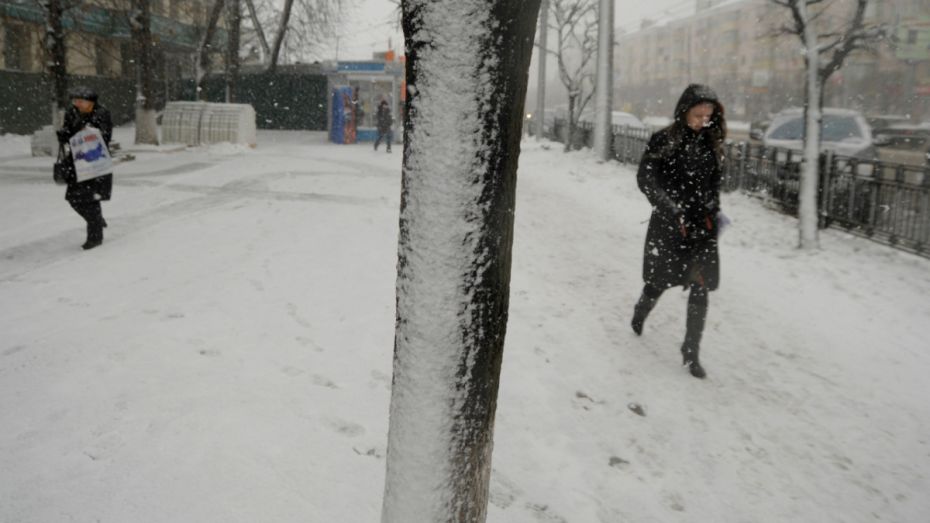 Последняя неделя зимы в Воронеже будет теплой и снежной