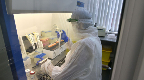 Еще 280 воронежцев избавились от коронавируса